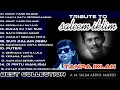 Download Lagu BEST COLLECTION SALEEM IKLIM | TANPA IKLAN #lagumalaysia #saleem #malaysia #lagu #iklim #salemiklim 