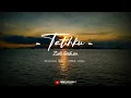 Download Lagu Ziell Ferdian - Tatihku [ Official Music Video Lyrics ] Terbaru 2024