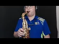 Download Lagu Love Story-alto sax cover