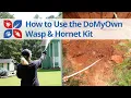 Wasp and Hornet Kit DoMyOwn com