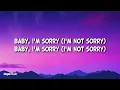 Demi Lovato - Sorry Not Sorry (Lyrics)