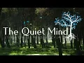 Download Lagu 4K - FOREST SOUNDS - 30 Minutes of Relaxing Sounds From The Forest - Meditation and Sleep