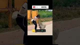 أغرب المواقف التي سجلتها الكاميرات 