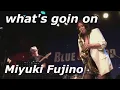 Download Lagu What's going on ／ SAX Miyuki Fujino 【アルトサックス】吹いてみた