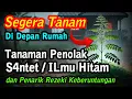 Lagu SEGERA TANAM !! 8 Tanaman Penolak S4NT3T Sekaligus Pembawa Keberuntungan