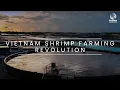Download Lagu RYNAN Aquaculture high-tech shrimp farming in Vietnam