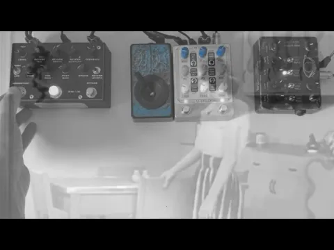 Pladask Etterslep Granular Delay | Delicious Audio