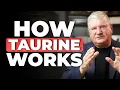 What You Actually Need to Know About Taurine Taurine Benefits