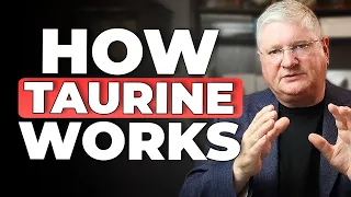 What You Actually Need to Know About Taurine Taurine Benefits