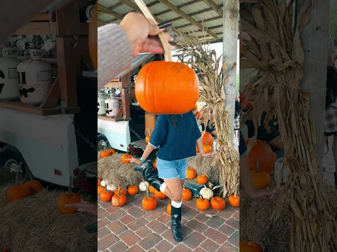 Rate our outfits 🎃 #shorts