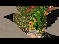 ill-esha - 'Sonata of Solitude' (Official Audio)
