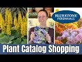 Shopping Bluestone Perennials Catalog My Dream Perennial Wish List