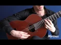 Un Sueno en la Floresta performed by Johannes Moller