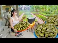 Lagu DAO Ethnic People's way of Wrapping Cakes: Using Wild Leaves, Sticky Rice And Green Bean