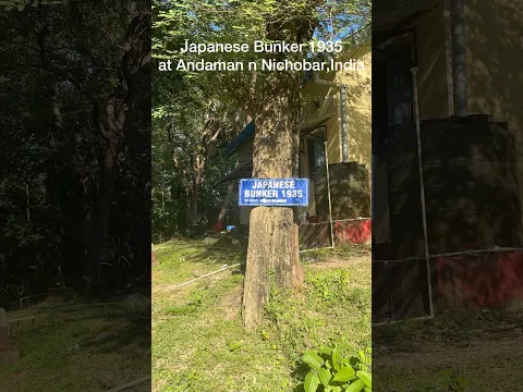 Japanese Bunker at Andaman and nichobar Island #ytshorts #japanese #india #andaman #ytindustries