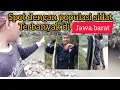 Download Lagu Tiada duanya di jawa barat spot sidat dengan populasi yang amat banyak
