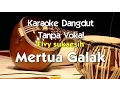 Download Lagu Karaoke Elvy Sukaesih Mertua Galak