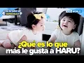 Download Lagu [ESP SUB] La risa pura de un bebé☺ [ERDS ep.589] | KBS WORLD TV 250921
