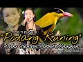 Download Lagu LANGGAM PODANG KUNING | LARAS SLENDRO PATHET MANYURA