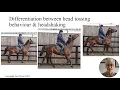 Dr Sue Dyson - Differentiation Between Head Tossing Behaviour Head-shaking