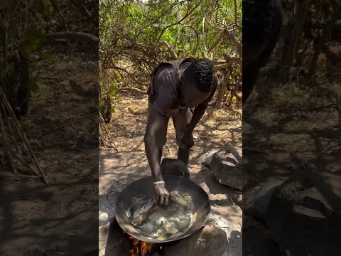 Hadza bushmen Chabba favorite new meal in the bush
