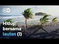 Download Lagu Pulau harta karun Samudra Pasifik: Dari Hawaii hingga Kepulauan Cook (1/2) | DW Dokumenter