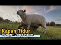 Download Lagu Kapan Tidur di Negeri Tanpa Malam
