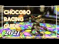 Chocobo Racing Guide for FFXIV The Basics