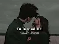 Download Lagu Tu Bemisal Hai Slowed Reverb
