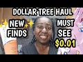 DOLLAR TREE HAUL NEW FINDS MUST SEE 0 01