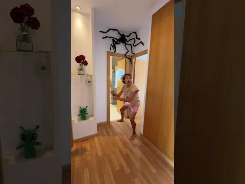 HAY UNA ARAÑA GIGANTE EN MI CASA!
