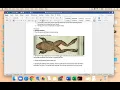 Frog Dissection Guide