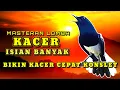 Download Lagu MASTERAN KACER TEMBAKAN KASAR