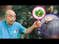Download Lagu Чтобы ВОЛОСЫ не СЕДЕЛИ. Му Юйчунь.