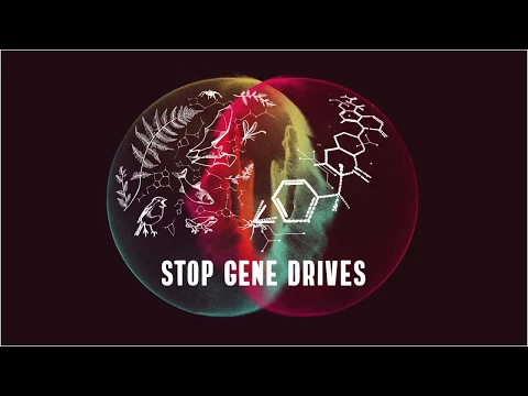 Soup & Talk 2020: Stop Gene Drives