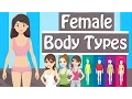 Female Body Types And Body Shapes Different Body Types Women Have