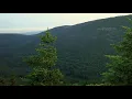 Grouper - Poison Tree