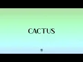TWICE - CACTUS (선인장) Line Distribution + Lyrics Karaoke PATREON REQUESTED