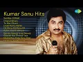 Lagu 90s-2000s Romantic Dance Hits! | Kumar Sanu Songs | Sunday Ki Raat | Chand Sitare | Tu Meri S...