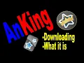 How to Download the AnKing Deck