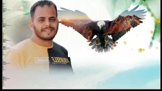 فارد زي النسر جناحي   سعد فاروق                دندنها