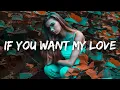 Little Mix - If You Want My Love (Lyrics)