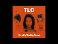 TLC - Sumthin' Wicked This Way Comes (Official Audio)