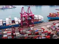 MEEST CARGO us meest com