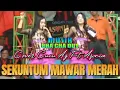 Download Lagu SEKUNTUM MAWAR MERAH Cover Cucu Ag Ft Asonia Live Burujulwetan Musik Asonia Gehger Muda