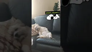 دخترم آدمیزاده پیام ملکوتی Shorts 