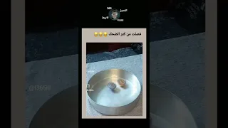 يلا يا بلبل 