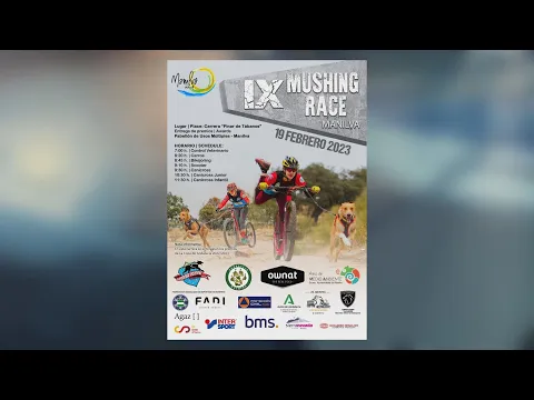 YouTube player