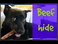 Rawhide Beef hide Pros and Cons