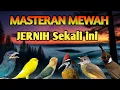 Lagu MASTERAN MURAI JERNIH FULL ISIAN TEMBAKAN YANG MEWAH MATERI TEMBUS JELAS BIKIN MURAI JUARA